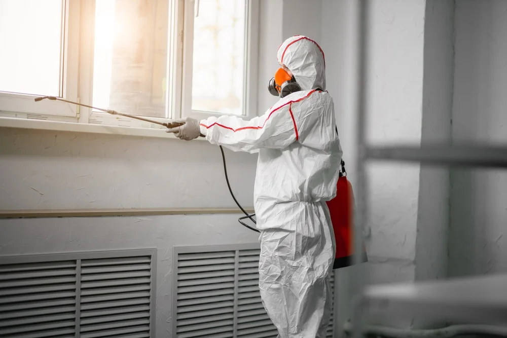 Professional mold remediation services in Edgewood, MD